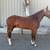 Young Mustang Gelding 2 thumbnail