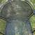 One outdoor chair 4 thumbnail