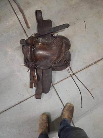 Saddle 1