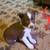 Australian Shepherd Border Collie Mix Puppies 4 thumbnail