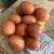 Copper  marans 1 thumbnail