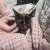 Cute Kittens 4 thumbnail