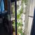 Gardyn 4.0 hydroponic garden system 1 thumbnail