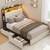 Upholstered Twin LED Bed Frame with 2 Storage 3 thumbnail