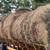 2026 Horse Hay Delivered 2 thumbnail