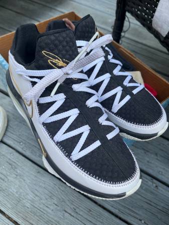 LeBron Nike air max 1