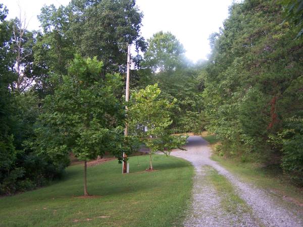 $1,300 / 3br - 1560ft2 - EN ALQUILER - 1030 Stormcrest Road, Rustburg, VA (Rustburg)63851966964737121