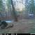 Maine-Pristine 9.5 Ac Cobscoot Bay with 565' Bay frontage 16 thumbnail