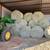 Premium Coastal Hay Large Round Bales Horse Quality 2 thumbnail