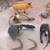 30 piece set of dinosaurs-lizards-snakes birds-etc 2 thumbnail
