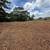 Bulldozing, Excavation, Land Clearing Services 🚜 4 thumbnail