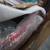 TOYOTA  TAIL LIGHT ASSEMBLY AND DOOR GLASS 2 thumbnail