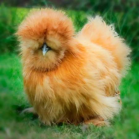 I'm looking for one 1