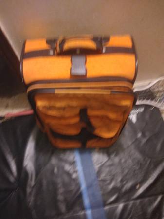 backpack /luggage 1