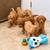Goldendoodle 1 thumbnail