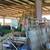 Barn Cats Looking for Work 11 thumbnail