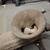 Vintage Antique Enterprise Tinned No. # 32 Meat Chopper Grinder Cast Iron 3 thumbnail
