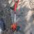 Black & Decker Electric Weed eater/ Stringtrimmer 1 thumbnail