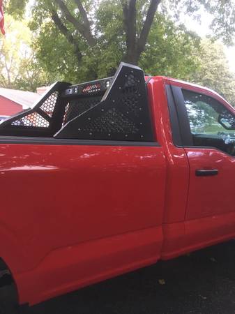 Back Rack-Pick Up Window Protector 1