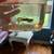 3 fish 2 thumbnail