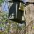 Honey Bee Swarm Trap 5 thumbnail