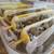 COTURNIX QUAILS 4 thumbnail