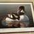 Rare Robert Steiner Medallion PROOF Goldeneye Federal Duck Stamp Print 3 thumbnail