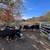 Bred cows 19 thumbnail