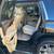 2016 *Cadillac* *Escalade* *4WD 4dr Premium Collection 10 thumbnail