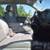 2016 Chevrolet Silverado 1500 Work Truck 18 thumbnail