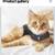 Large ThunderShirt For Cats 5 thumbnail
