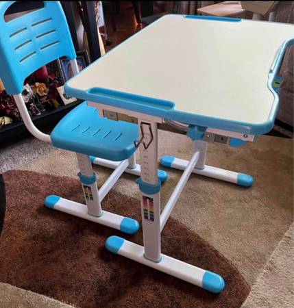 Like NEW ergonomic, height-adjustable kids' desk and chair set. Good quality. 1