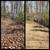 Leaf Removal 4 thumbnail