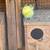 hogromo parakeets 2 thumbnail