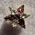 Brooches and Pins 2 thumbnail
