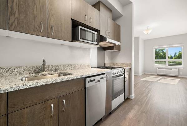 $1,365 / 489ft2 - Hornos de gas inoxidables, encimeras de granito, lavandería en casa (Vancouver)63831535778945120