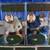 NSYNC Limited Edition Rare Bears 3 thumbnail