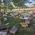 Yardsale 5 thumbnail