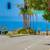 Cat and Dog Heaven! Amazing Pet-Friendly Community! 1 Bed / 1 Bath 15 thumbnail
