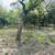 PRICE DROP! 1.8 Acres with 2 Car Garage in the Country 4 thumbnail