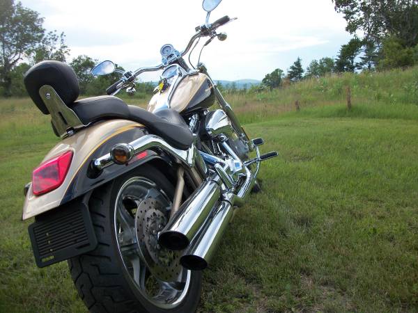 Harley CVO Screamin Eagle 1