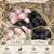 Rabbits 1 thumbnail