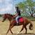Horseback Riding Lessons 5 thumbnail