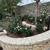 C. T. STRYKER Landscape Design, Maintenance and Horticultural service 13 thumbnail
