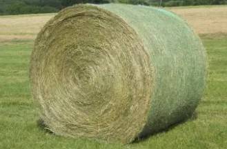 GRASS, GRAIN or ALFALFA Hay 1