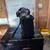 canon 1ds mark iii 5 thumbnail