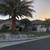 Date Palm 3 thumbnail
