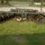 John Deere WH 83 disk 1 thumbnail