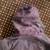 Outback Swagman waxed cotton jacket 4 thumbnail