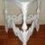 Victorian Style Triangle Shape Accent Table 1 thumbnail